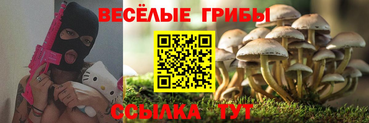 Пугачёв  Псилоцибиновые грибы MAGIC MUSHROOMS  Вход с VPN 